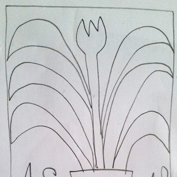 Drawing plants2
